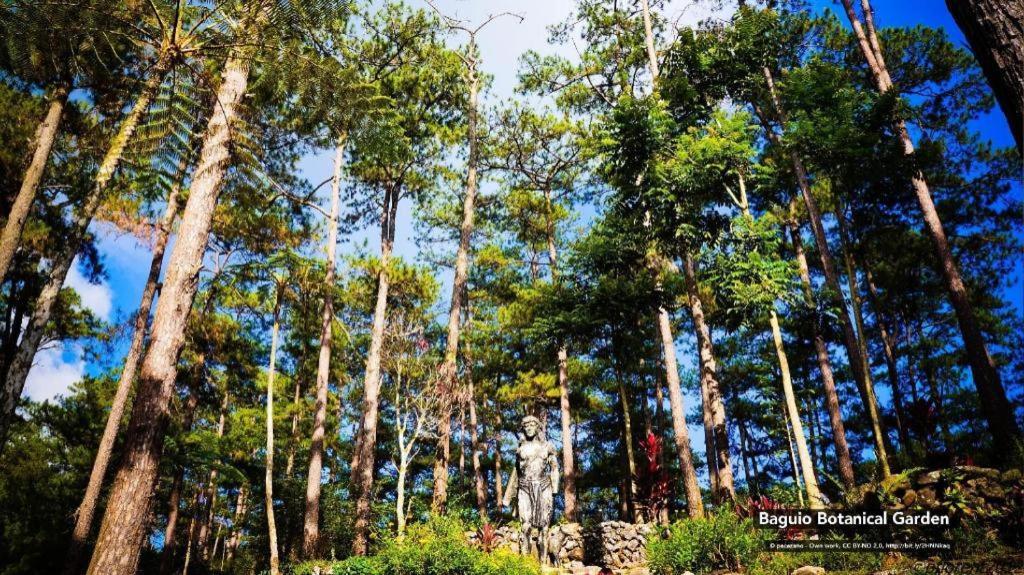 Zen Rooms Venus Parkview Baguio Baguio City Exterior photo